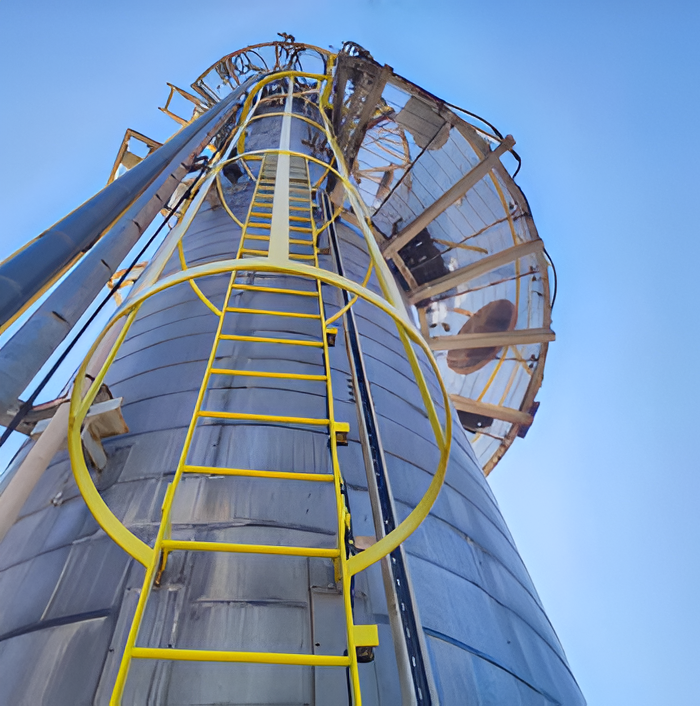 ms & gi monkey ladders